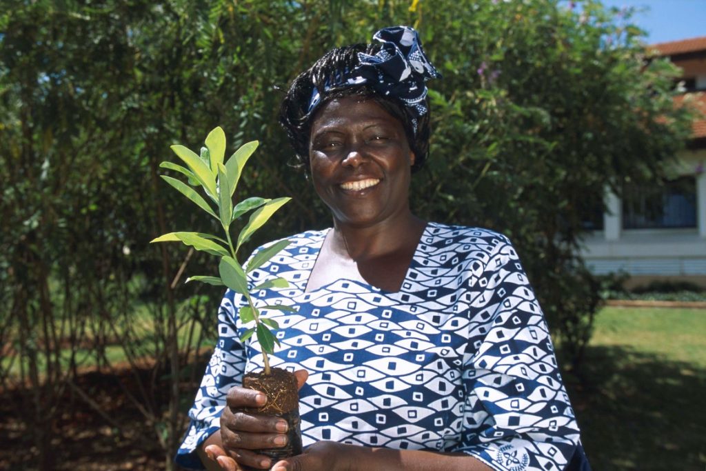 Wangari Muta Maathai: Planting the seeds for sustainable development
